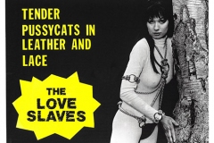 love_slaves_poster_02