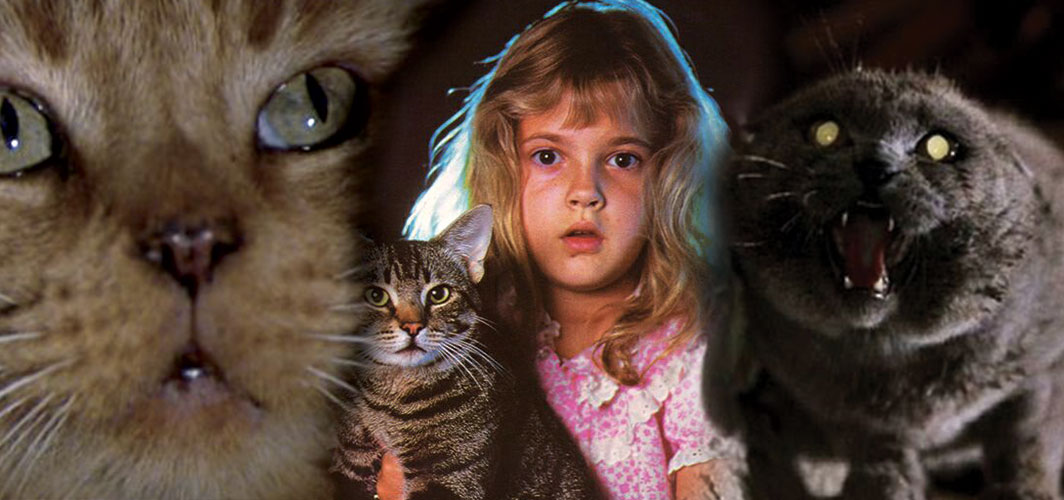 Famous Cats In Movies