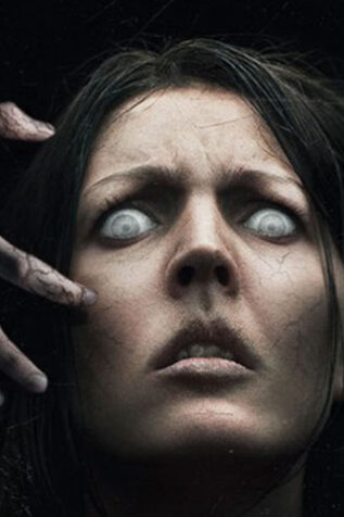 The Snare (2017)