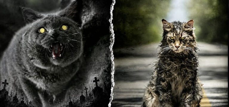 Pet-Semetary-WWR-MikesMovieRoom-Video-Images-2026-v01 What Went Wrong With Pet Sematary (2019)? - Horror Videos - Horror Land