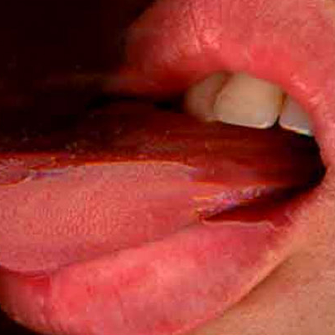 Horror-Site-Image-v01 Horror Site - Mouchette - Horror Land